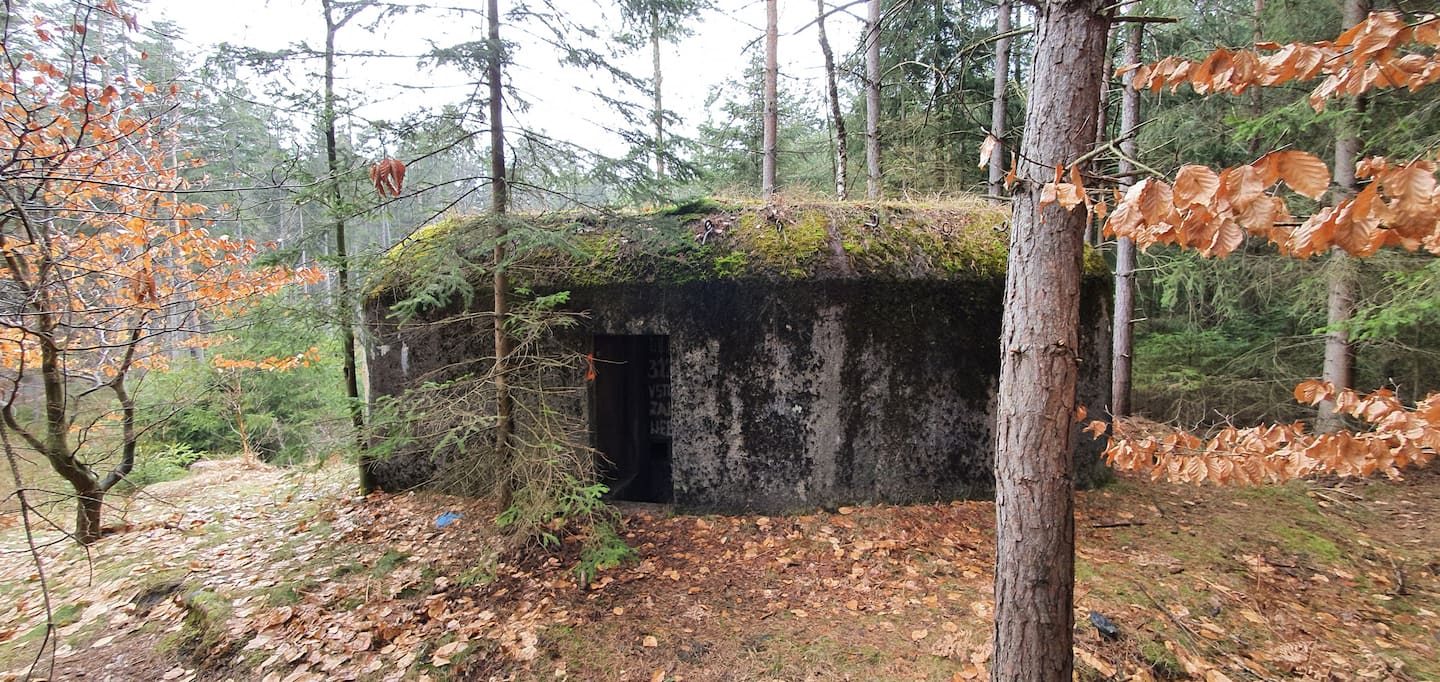 Betonový řopík v lese